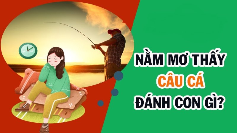 Nằm ngủ mơ thấy câu cá đánh con gì?