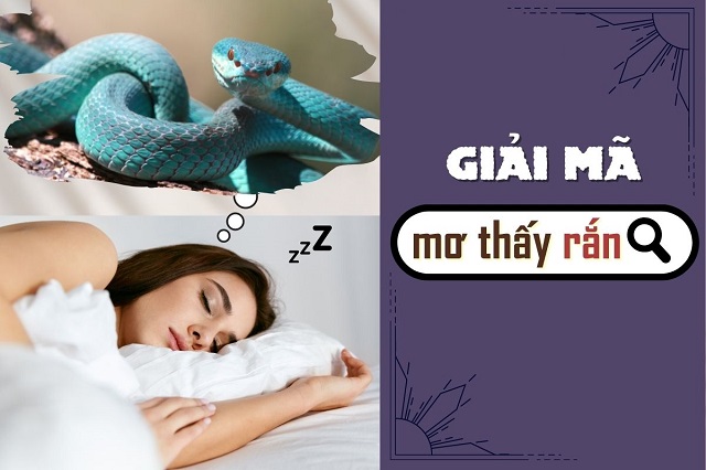 Mẹ bầu mộng thấy rắn là chuyện bình thường