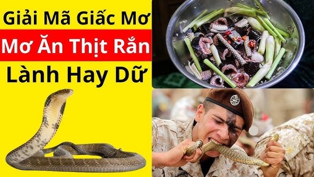 Nằm mơ ăn thịt rắn điềm gì?