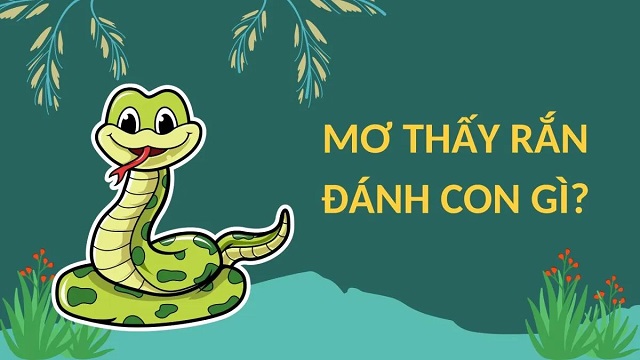 Mơ thấy rắn đánh số bao nhiêu?